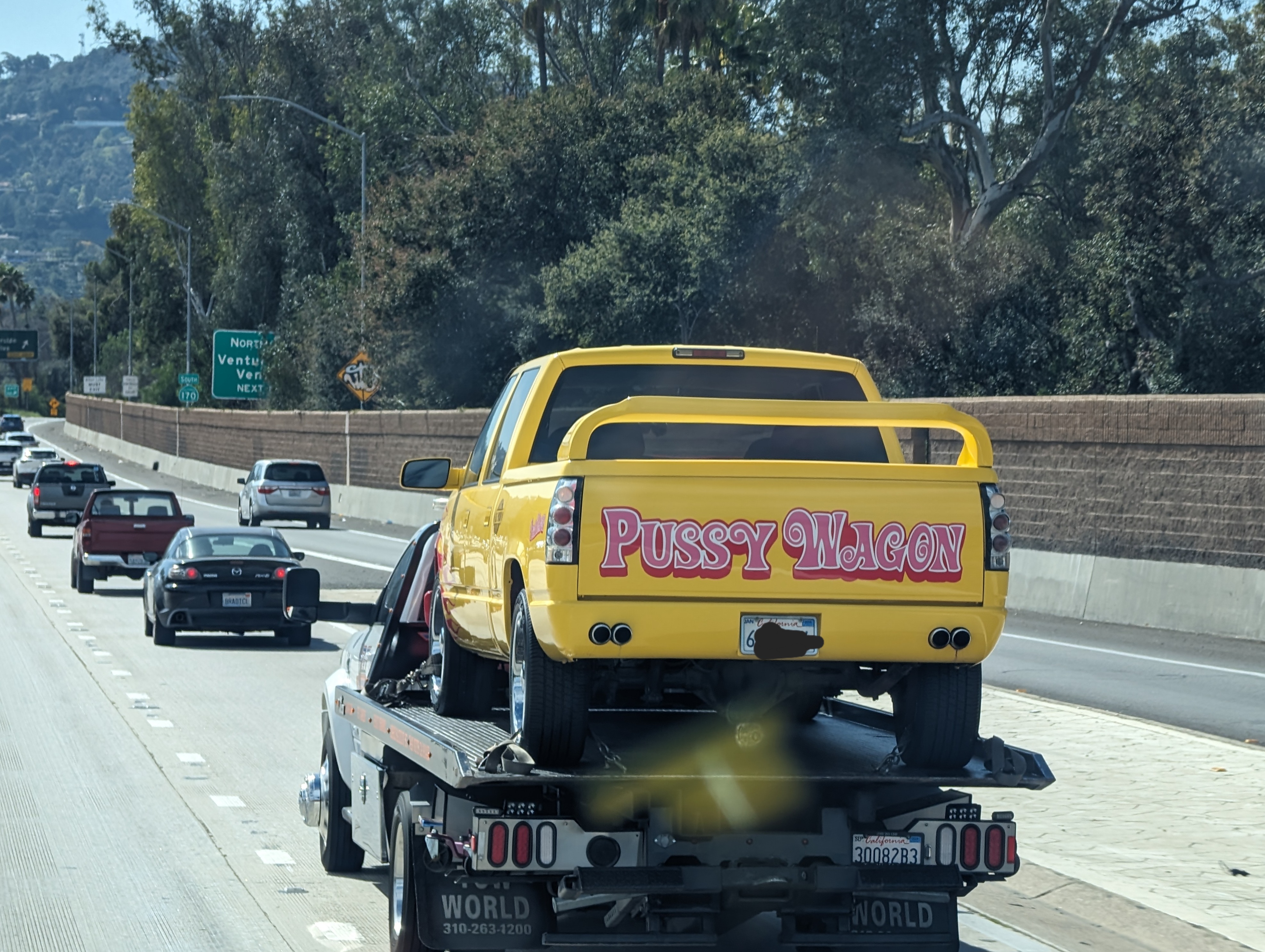 1000000181.jpg
