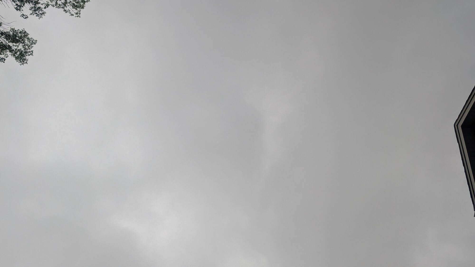 1000001676.jpg