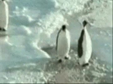 1000005305.gif