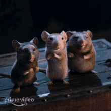 1000006531.gif