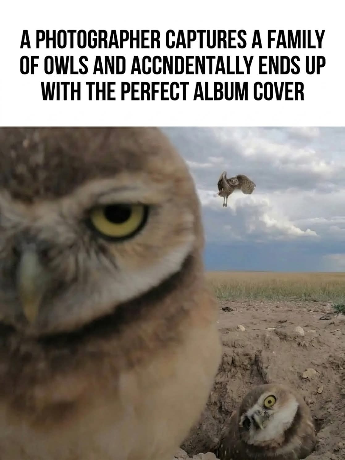1000008320.jpg