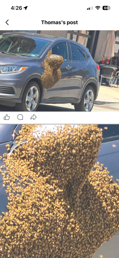 1000008469.png