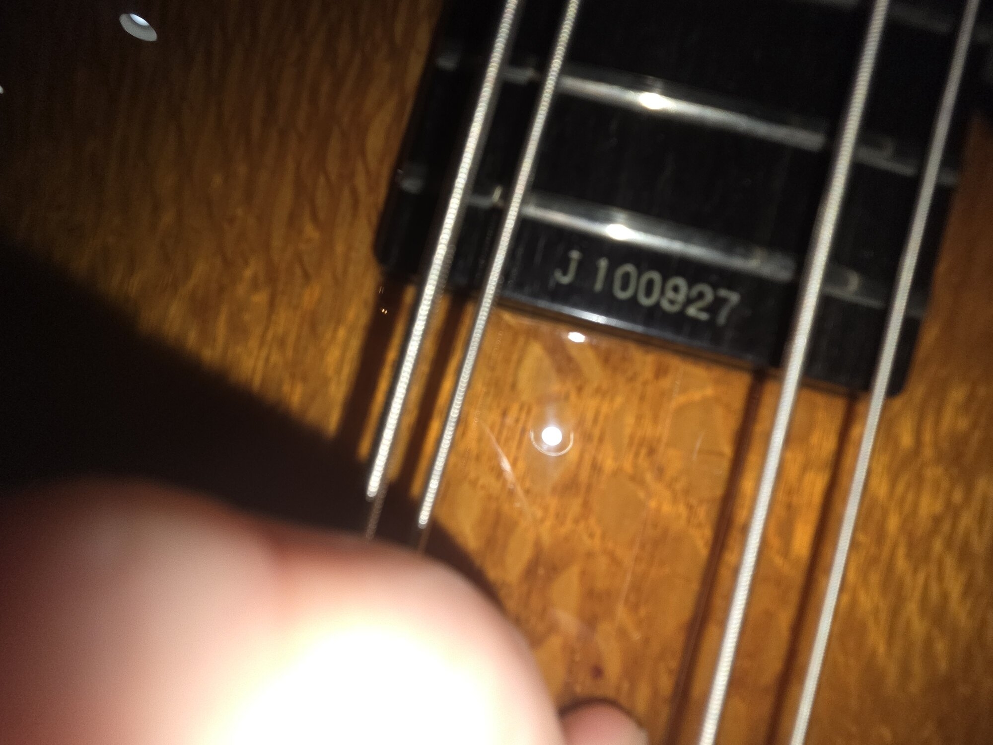 1000008610.jpg