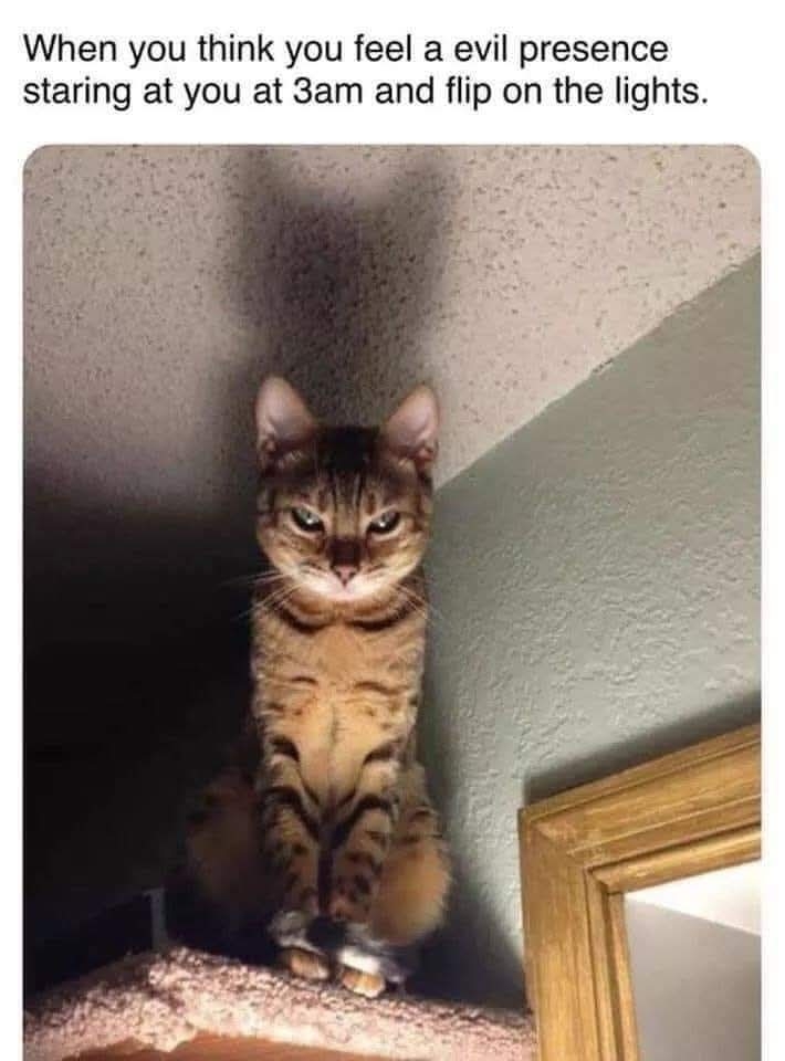 1000008854.jpg