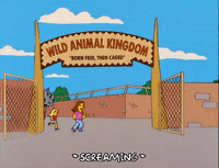 1000013867.gif