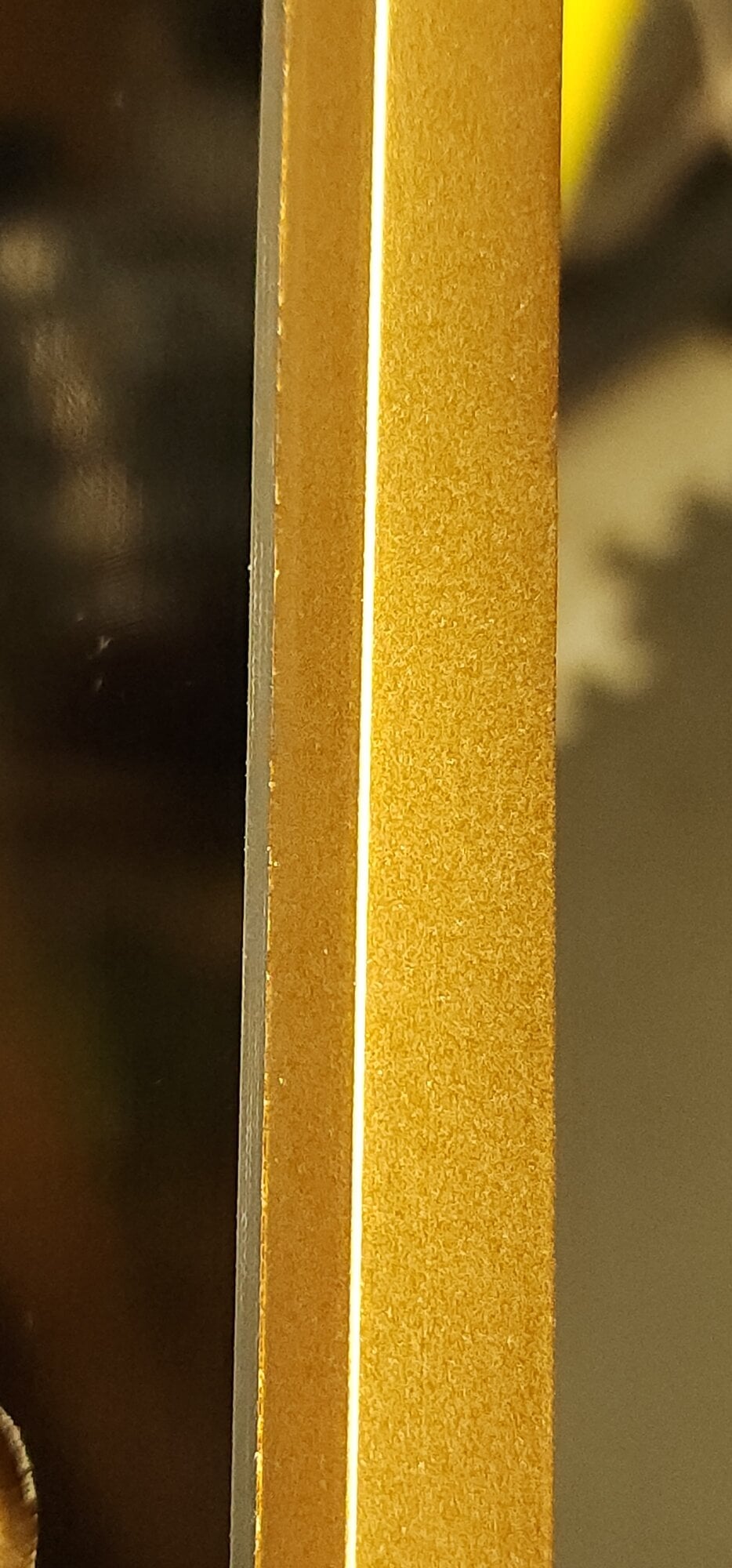 1000017181.jpg