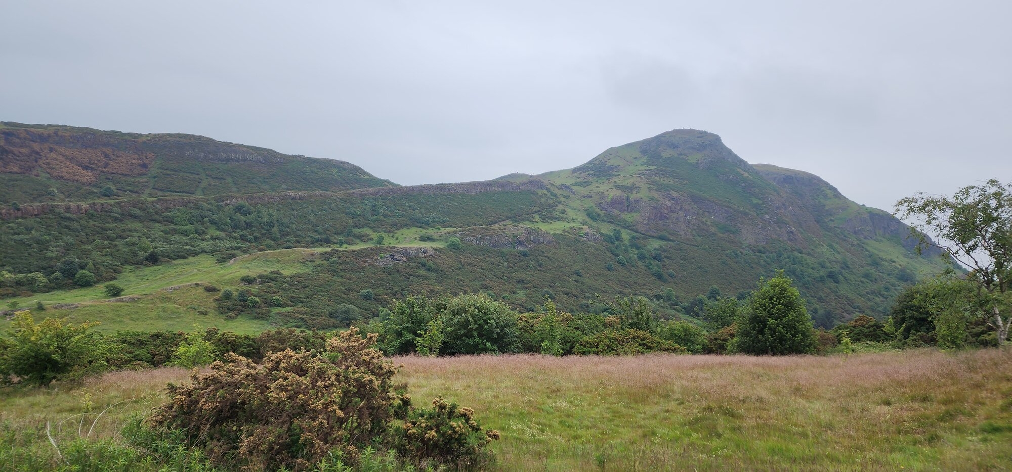 1000018605.jpg