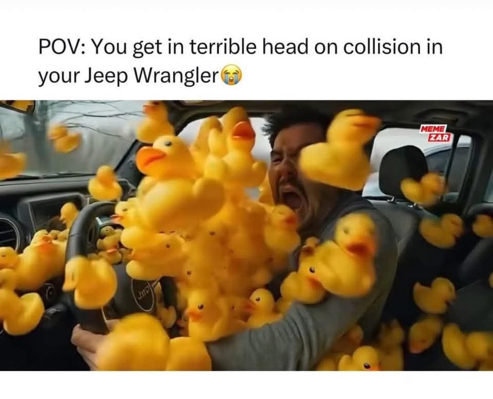 1000022058.jpg