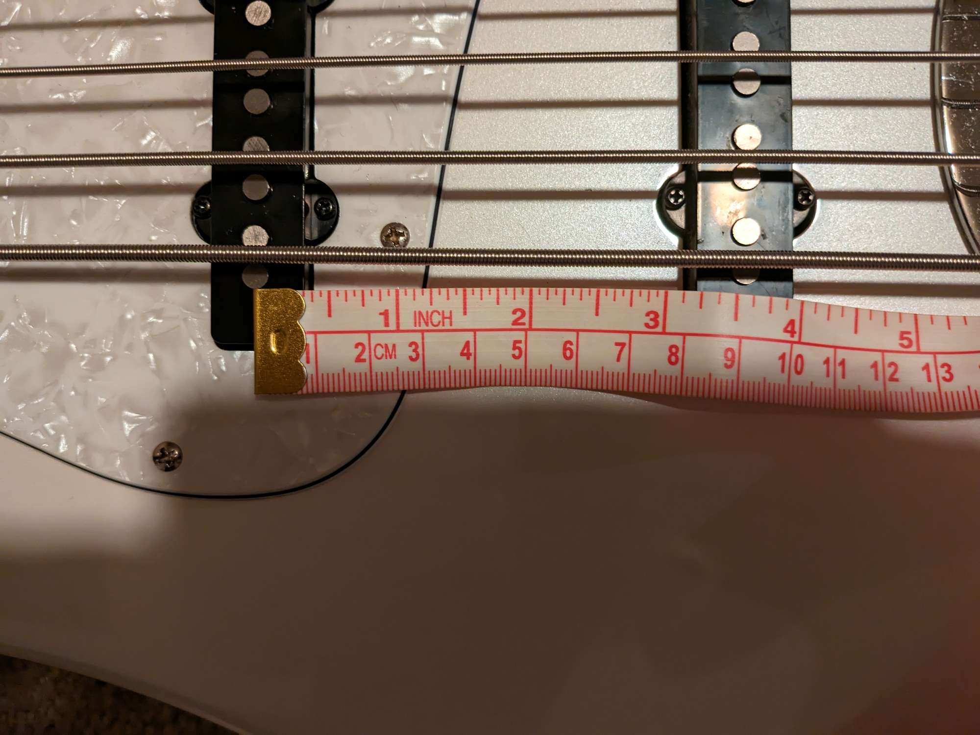 1000048238.jpg