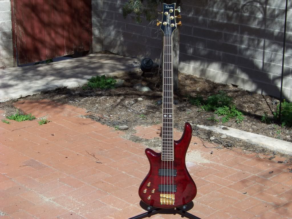 100_0081.jpg