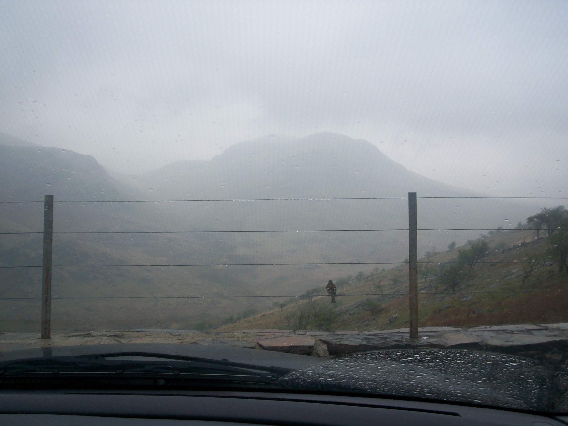 100_0237.jpg