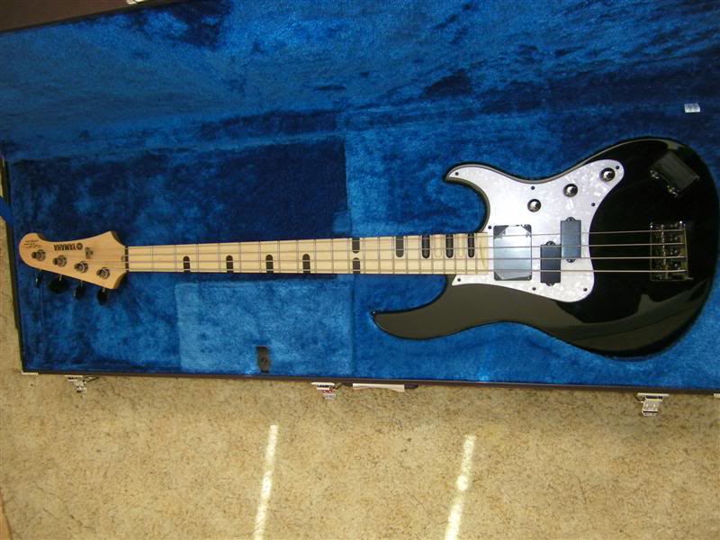 100_0321Medium.jpg