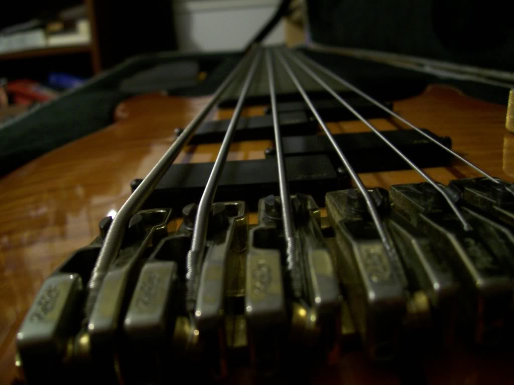 100_0360.jpg
