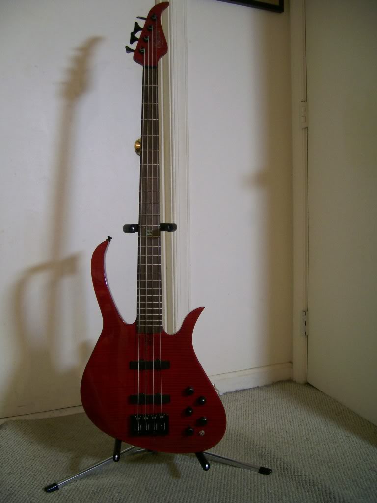 100_0390.jpg