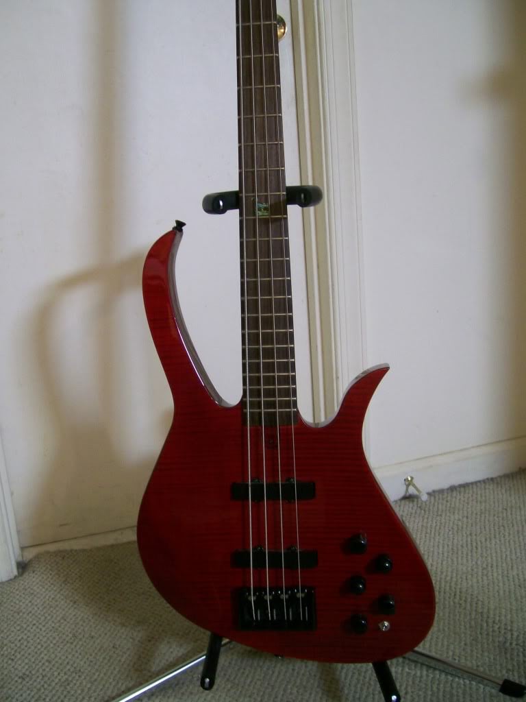 100_0393.jpg