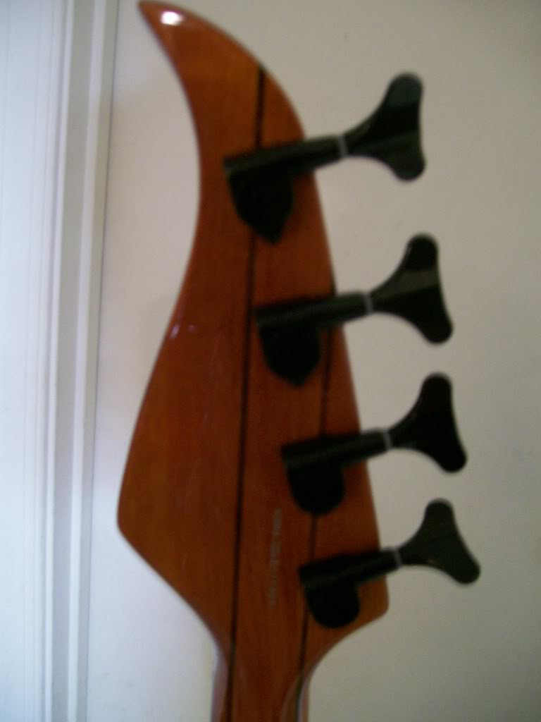 100_0400.jpg