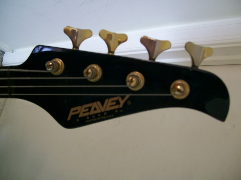 100_0410.jpg
