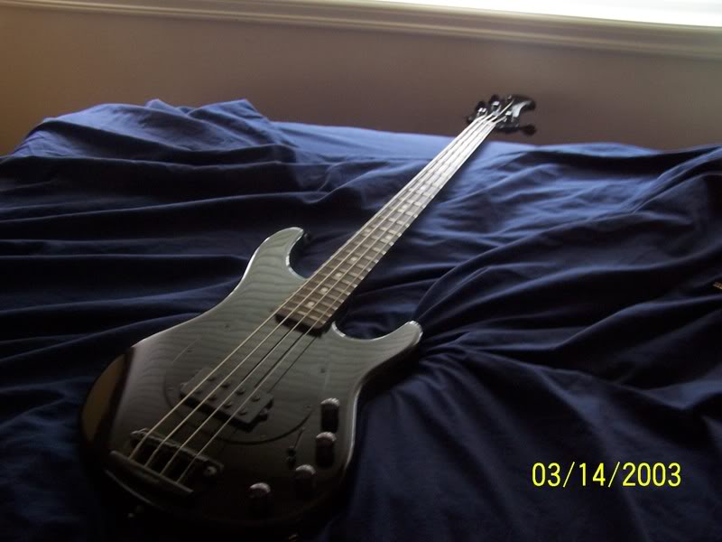 100_11071.jpg