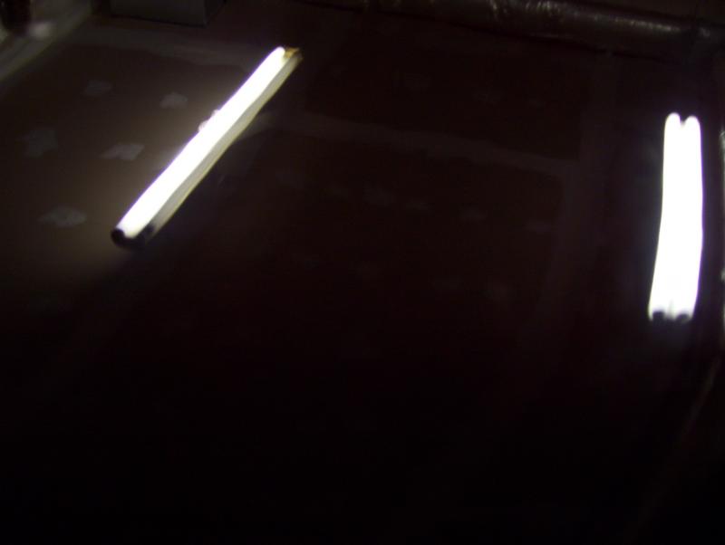 100_1324.jpg