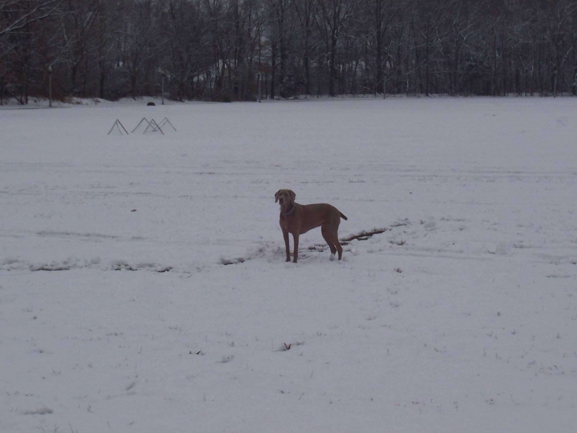 100_1460.JPG