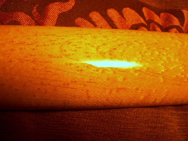 100_2032.jpg