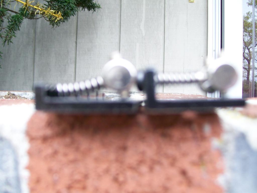 100_2422.jpg