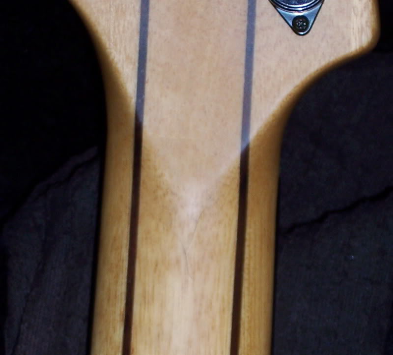 100_2584.jpg