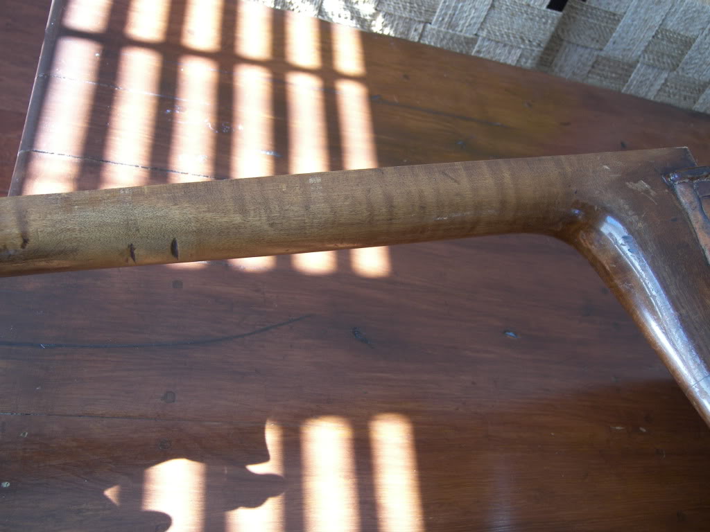 100_3686.jpg
