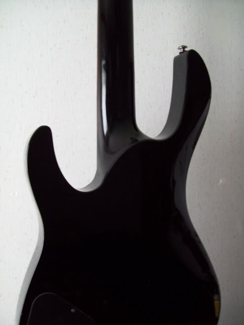 100_4293.jpg