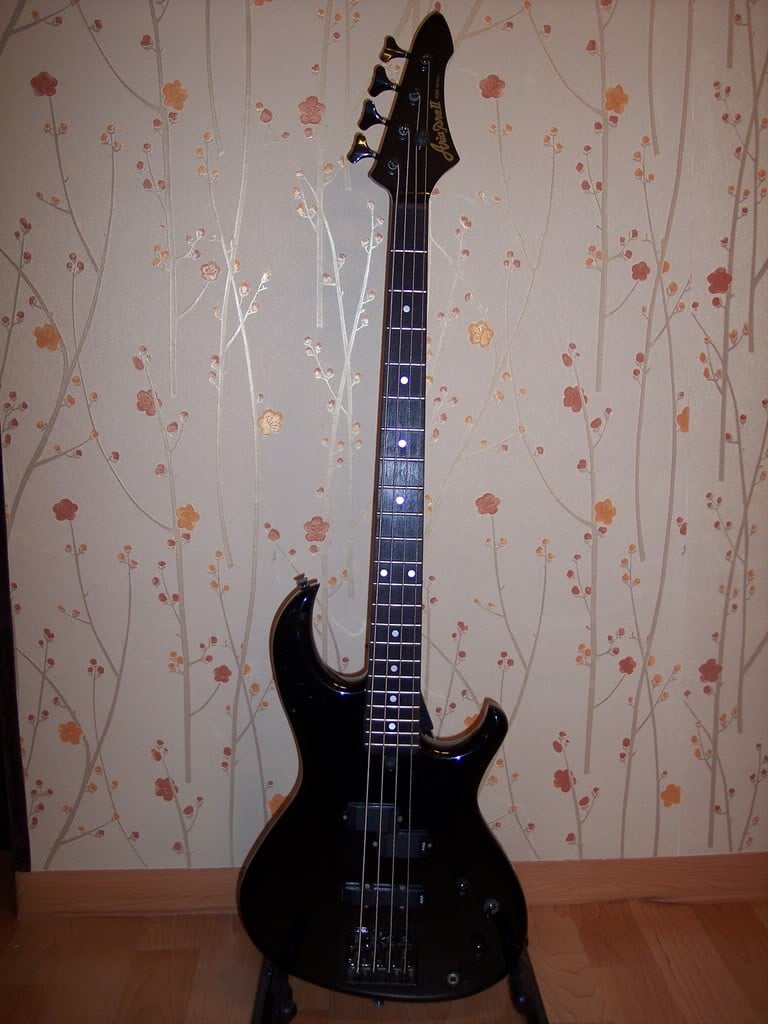 100_4895.jpg