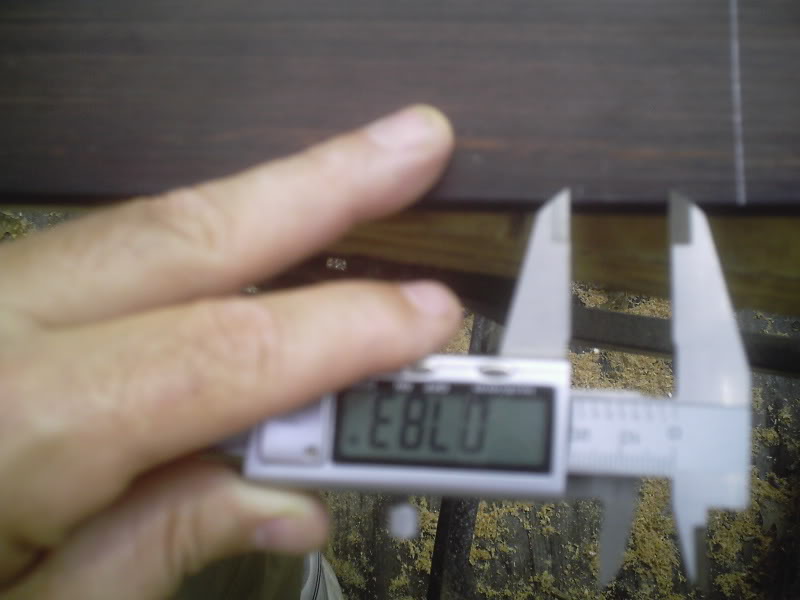 100yopineP071.jpg