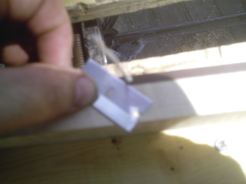 100yopineP097.jpg