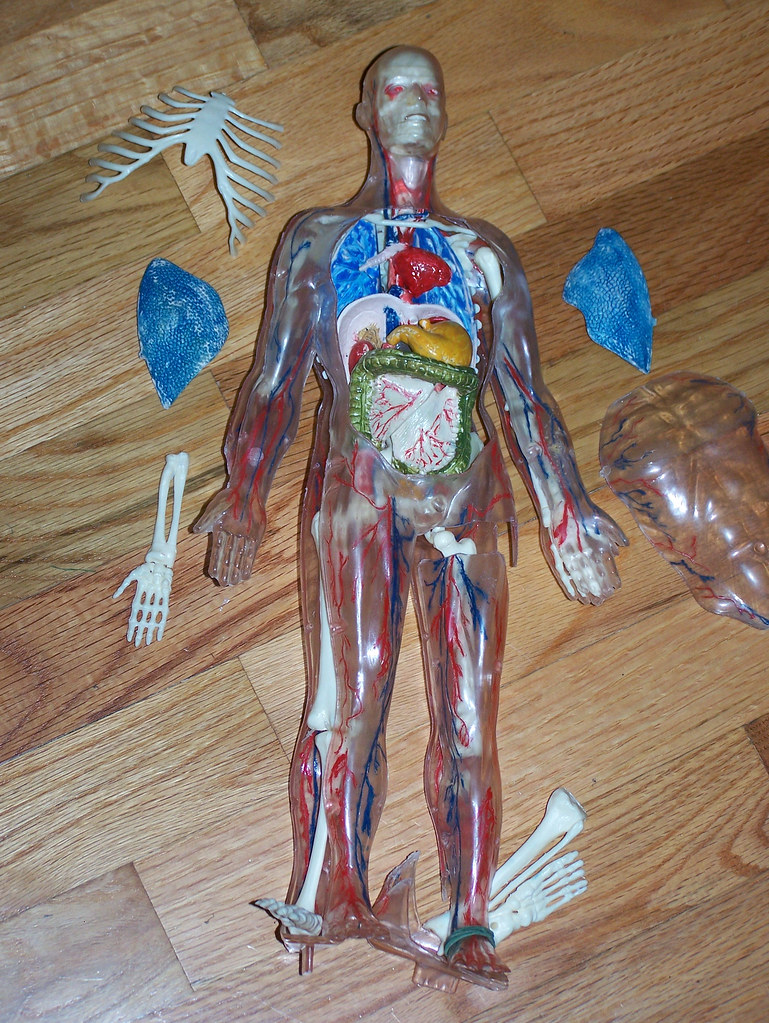 1026060343_a1aa7dcdf4_b.jpg