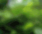 104412.gif
