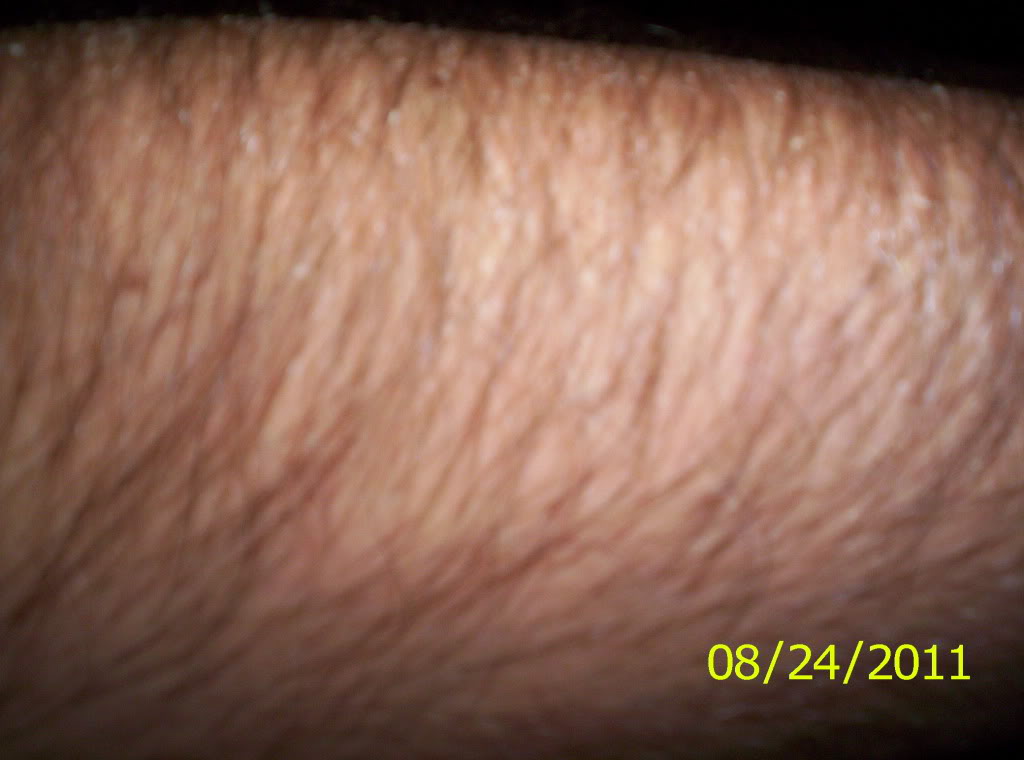 105_7241.jpg