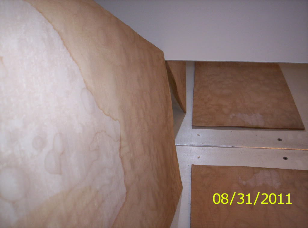 105_7276.jpg