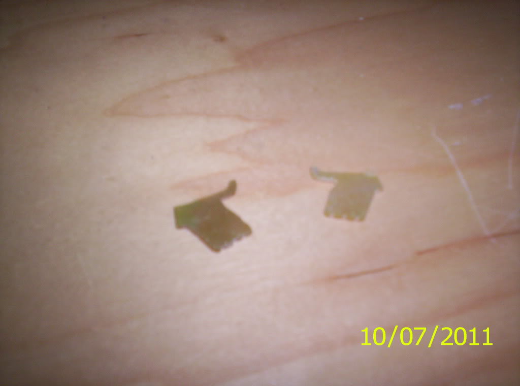 105_7507.jpg