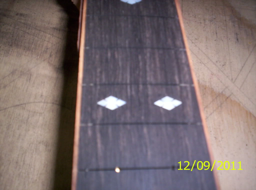 105_7884.jpg
