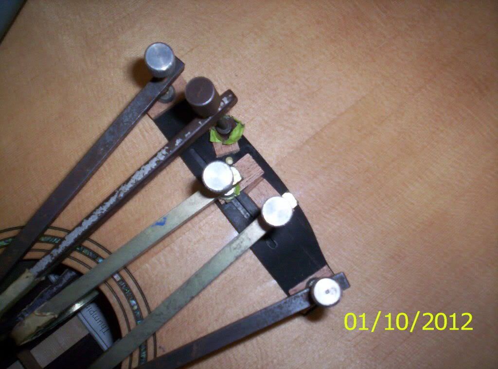 105_8038.jpg