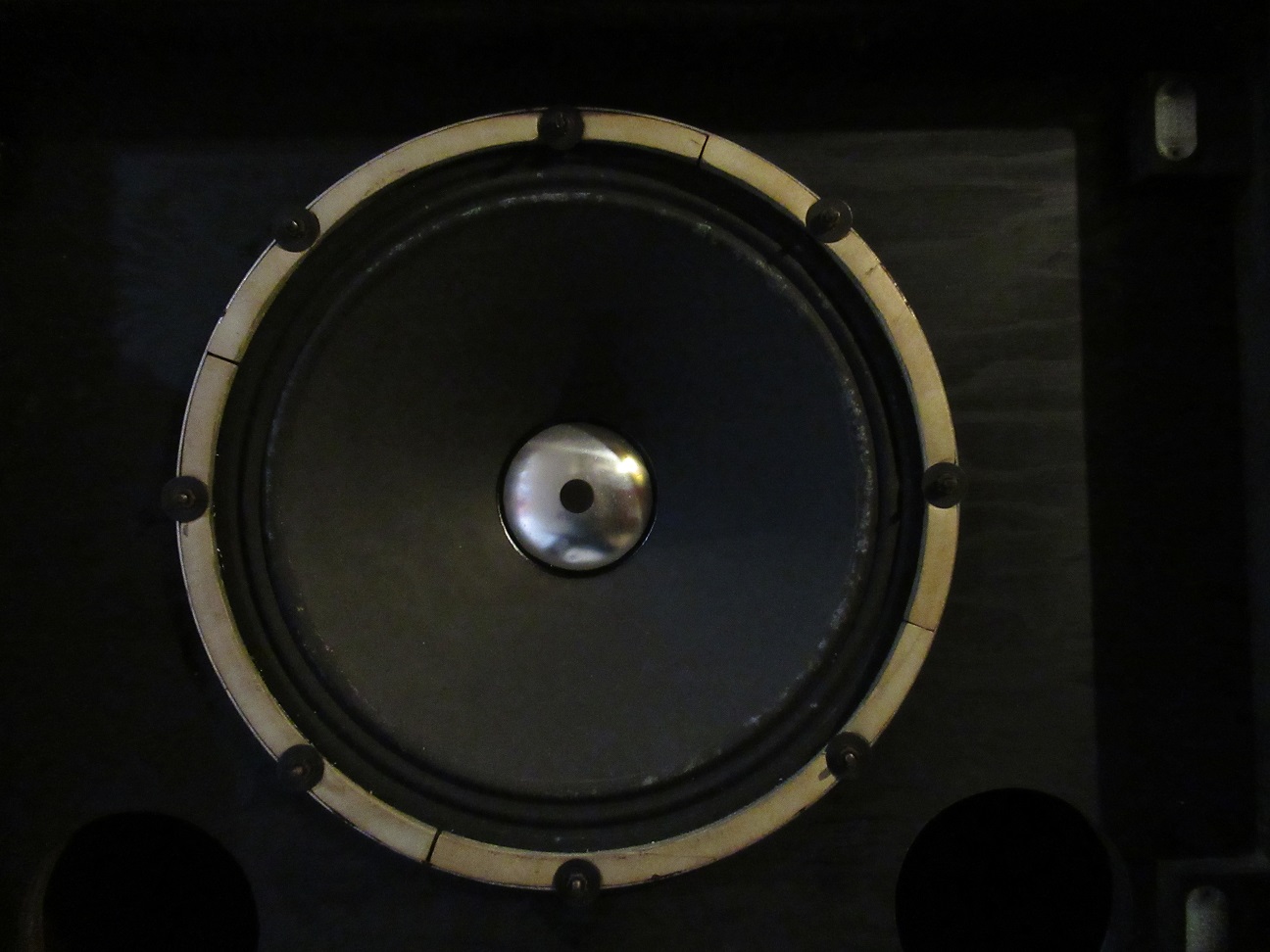 106 speaker 2-2.jpg