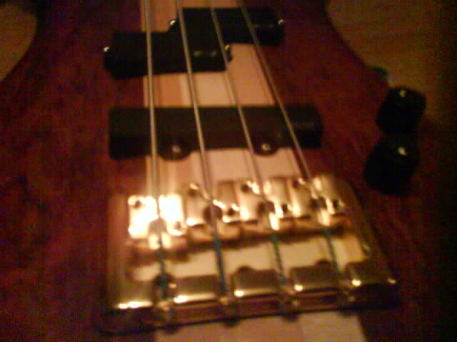 11-10-07116.jpg