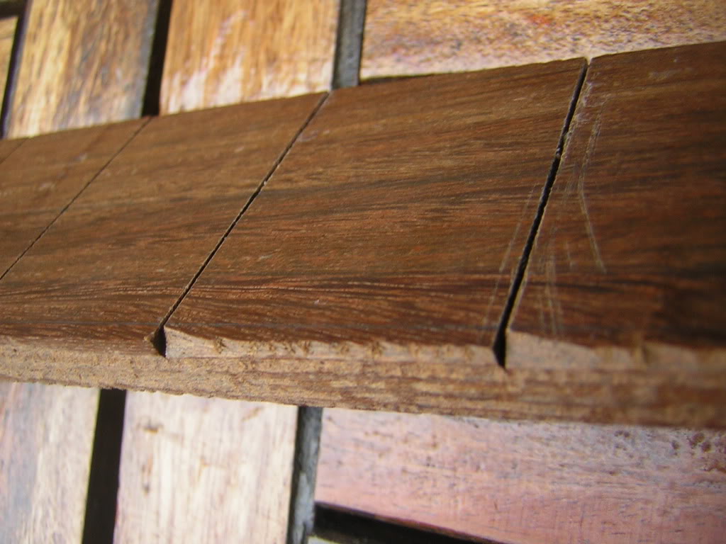 110618madera020.jpg