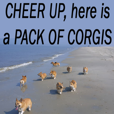 1160325432093.png