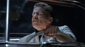 11iirs1.gif