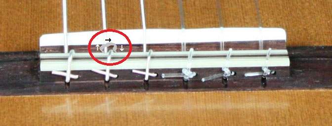 12-hole-Bridge-Loops2.jpg