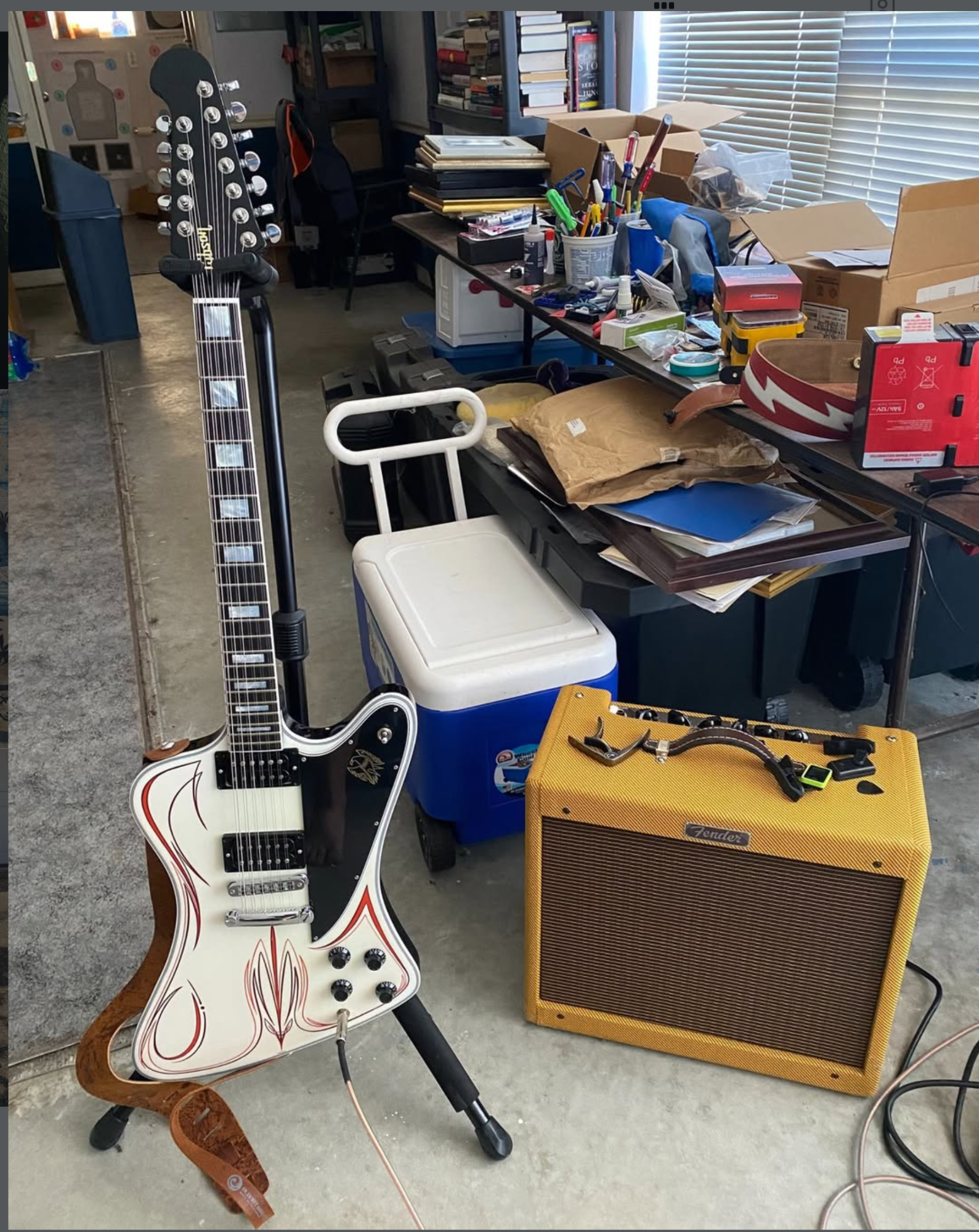 12 String Firebird.png