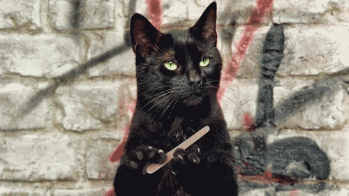 12213993.gif