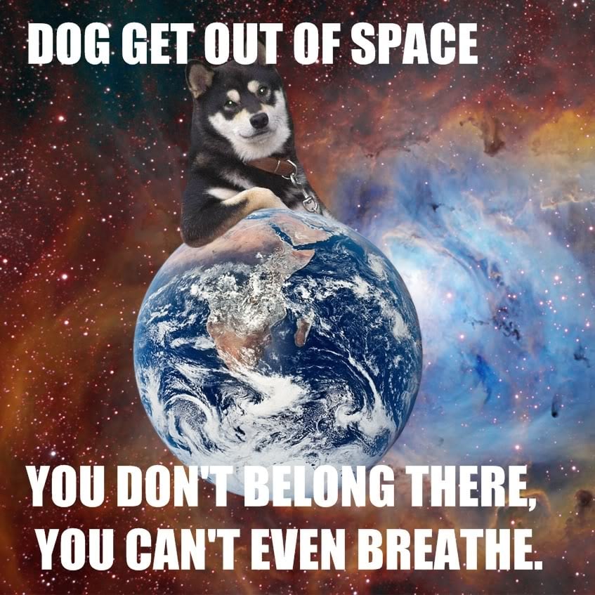 1226546043254tw1.jpg