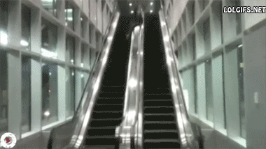 122ffcz.gif