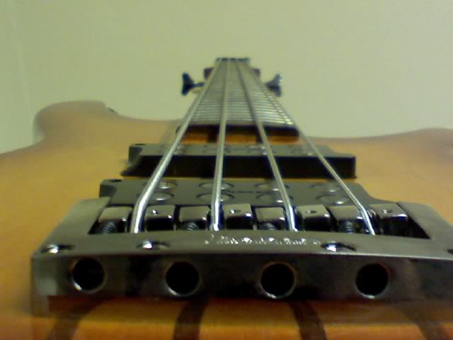 1230071606.jpg